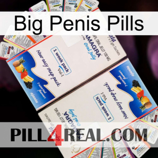 Big Penis Pills kamagra1